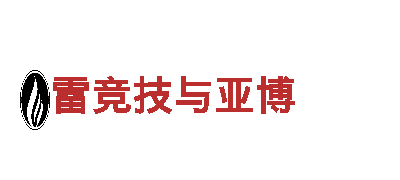 玩转千亿体育平台，开启精彩游戏广告之旅！